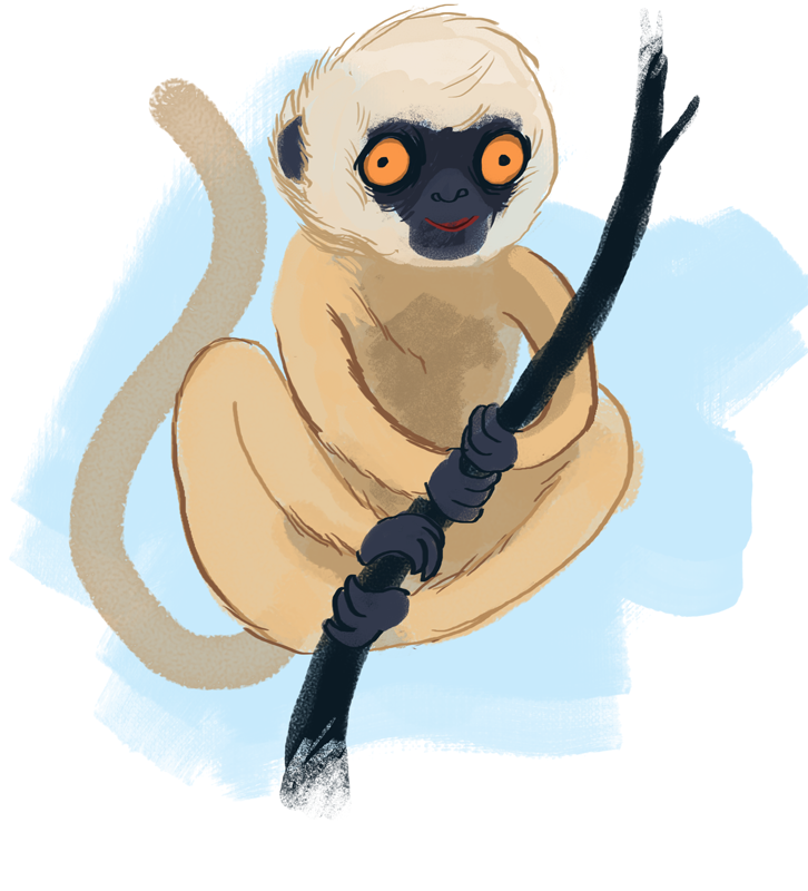 Lemur 726x800.png