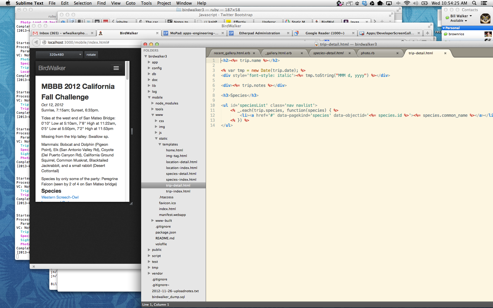 Bwalker-webdev.png