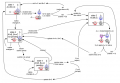 Thumbnail for version as of 23:54, 22 February 2013