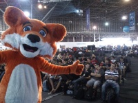 Foxcpbr.jpg