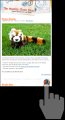 Thumbnail for version as of 22:06, 23 March 2008