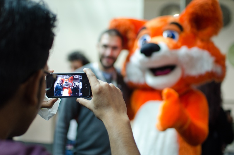 File:Foxpicture.pg.jpg