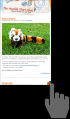 Thumbnail for version as of 13:23, 23 March 2008
