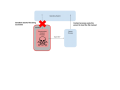 Thumbnail for version as of 03:55, 2 December 2016