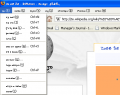 Thumbnail for version as of 11:47, 16 February 2008