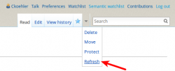 MozillaWiki - Purge Page.png