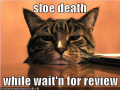 Thumbnail for version as of 09:30, 12 April 2008